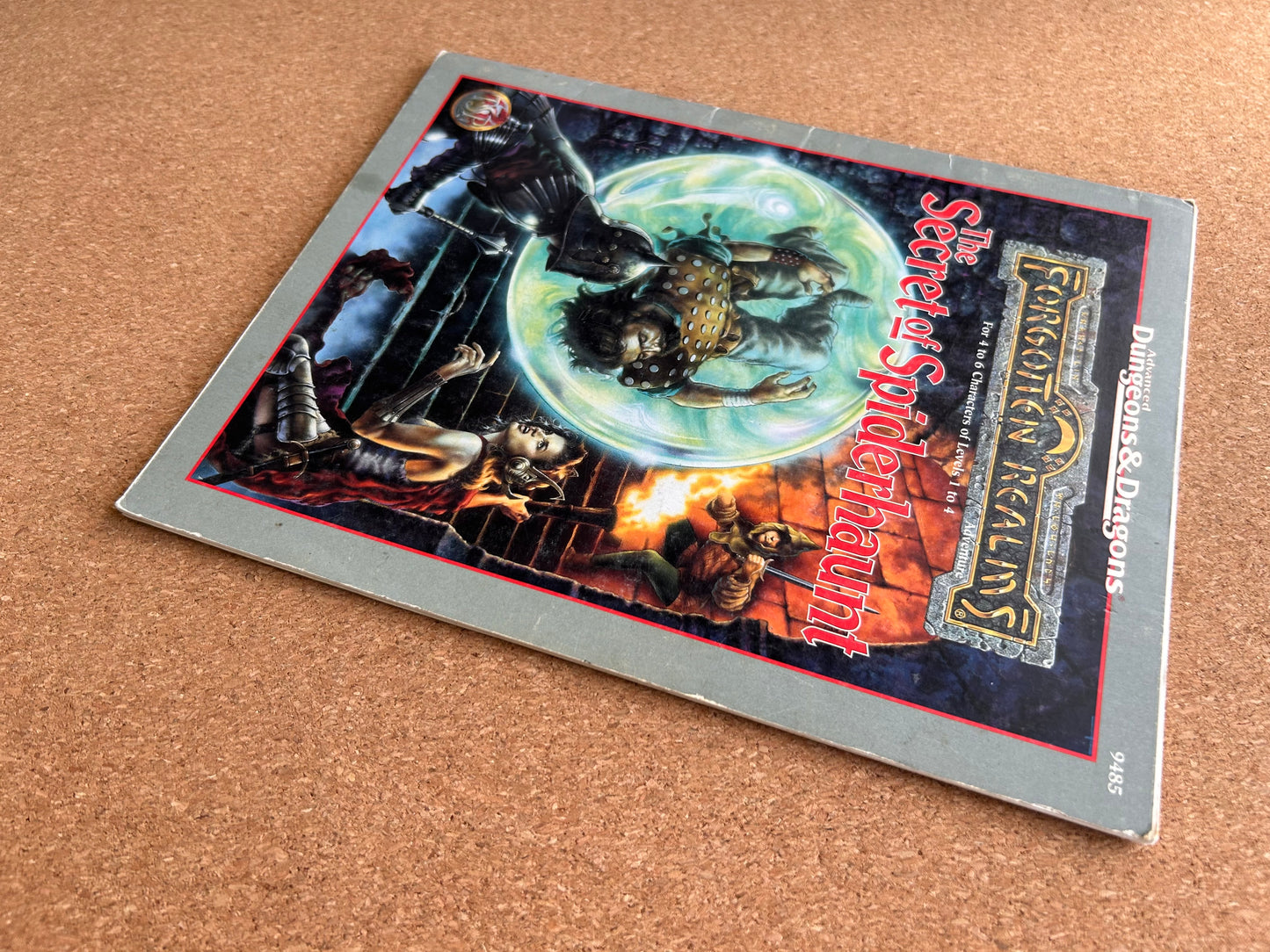 Advanced Dungeons & Dragons Forgotten Realms Adventure - The Secret of Spiderhaunt - TSR9485 - Paperback (1995)