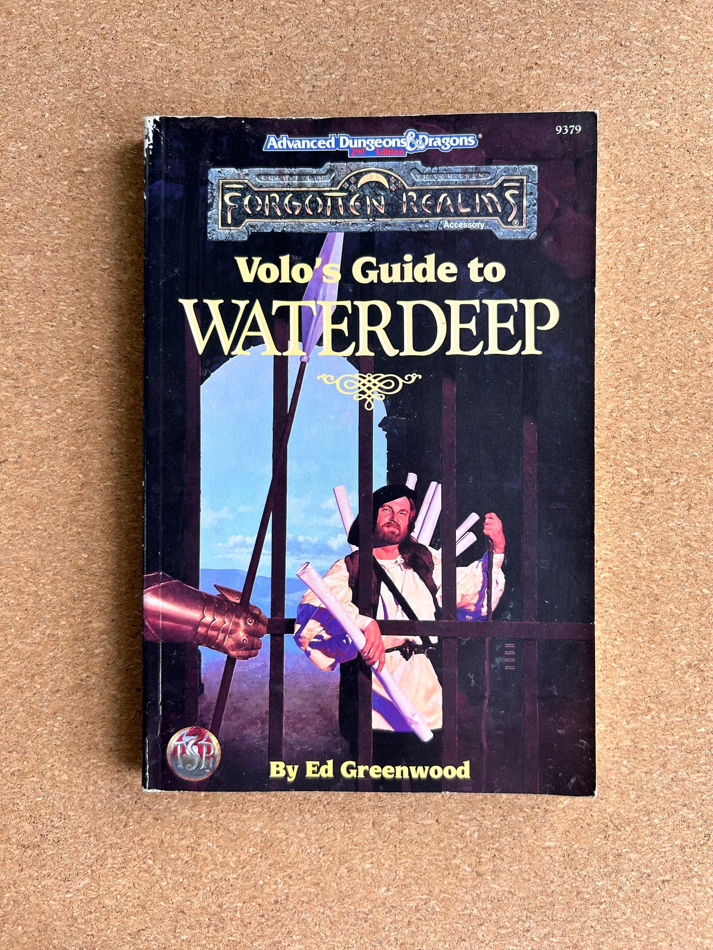 Advanced Dungeons & Dragons Forgotten Realms - Volo’s Guide to Waterdeep TSR9379 - Paperback (1992) - No Map