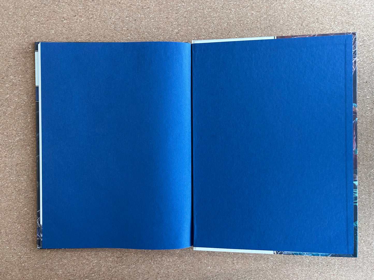 Dungeons & Dragons 4th Edition - Into The Unknown Dungeon Survival Handbook - WOTC Hardcover (2012)