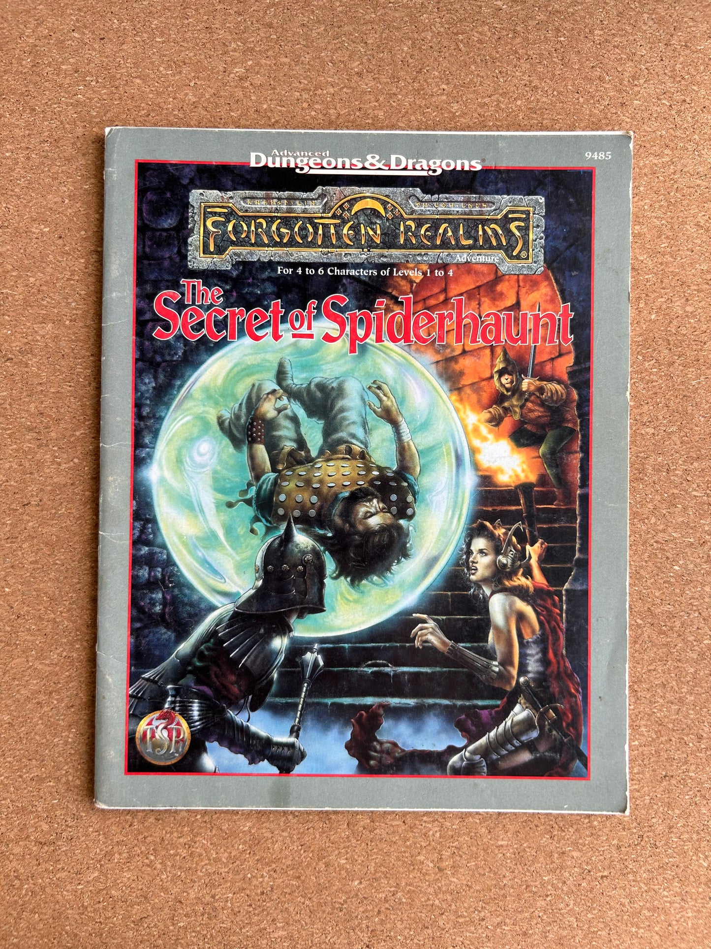 Advanced Dungeons & Dragons Forgotten Realms Adventure - The Secret of Spiderhaunt - TSR9485 - Paperback (1995)