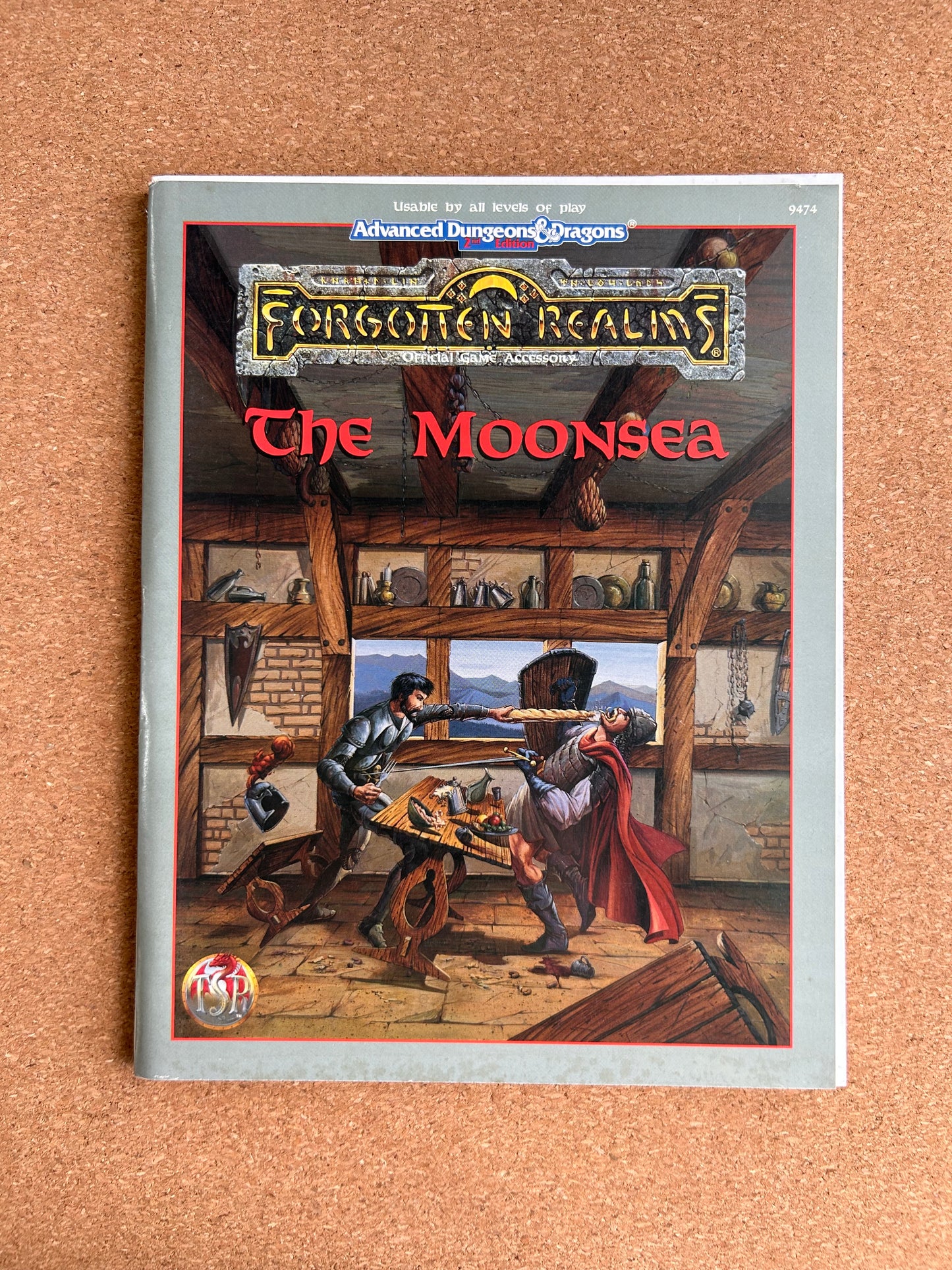Advanced Dungeons & Dragons Forgotten Realms Accessory - The Moonsea - TSR9474 - Paperback (1995)