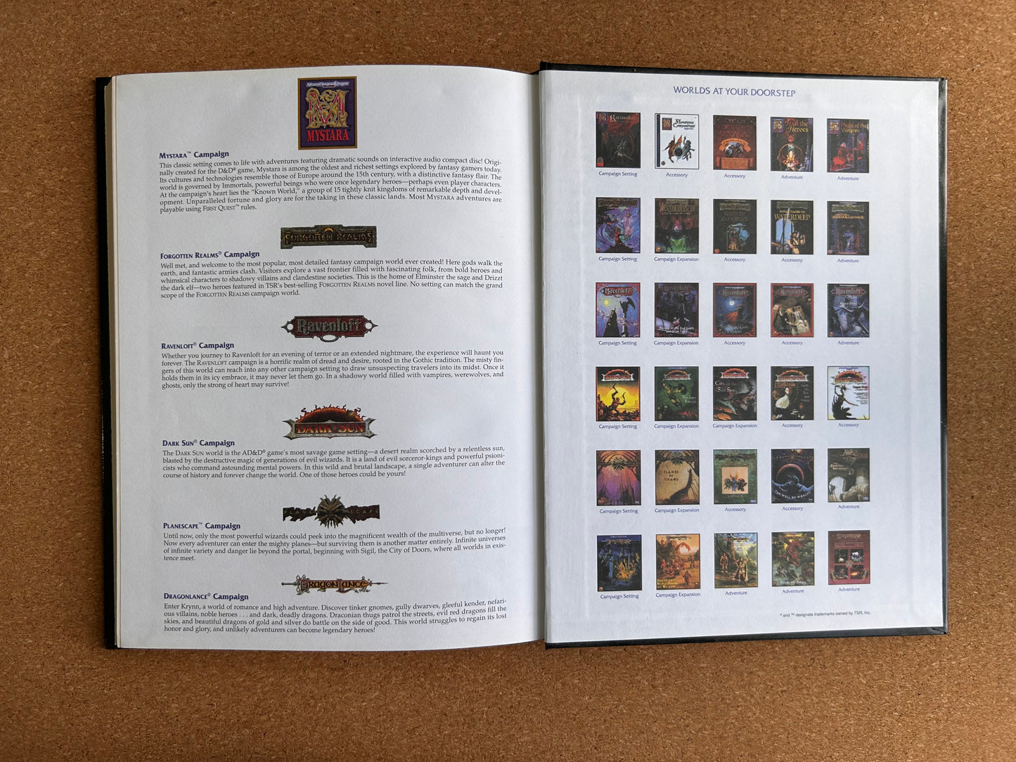 Advanced Dungeons & Dragons - Dungeon Master Option: High-Level Campaigns - TSR2156 Hardcover (1995)