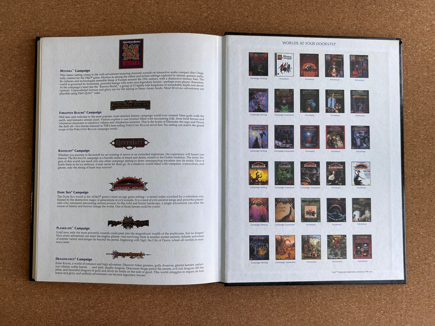 Advanced Dungeons & Dragons - Player’s Option: Combat & Tactics - TSR2149 Hardcover (1995)