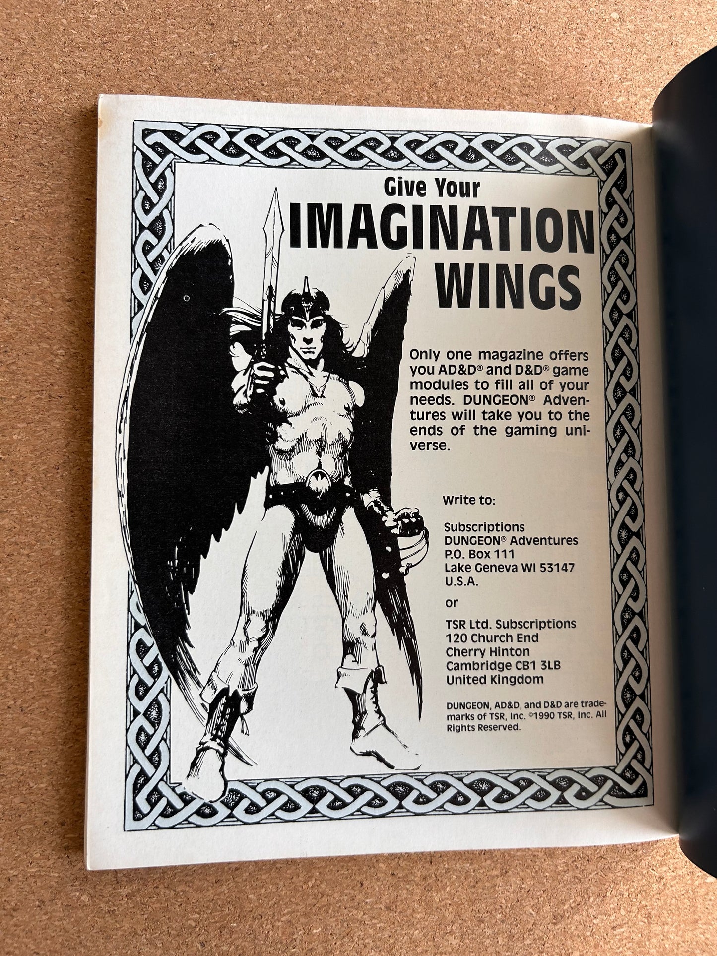 Advanced Dungeons & Dragons Rules Supplement - The Castle Guide - DMGR2 TSR2114 - Paperback (1990)