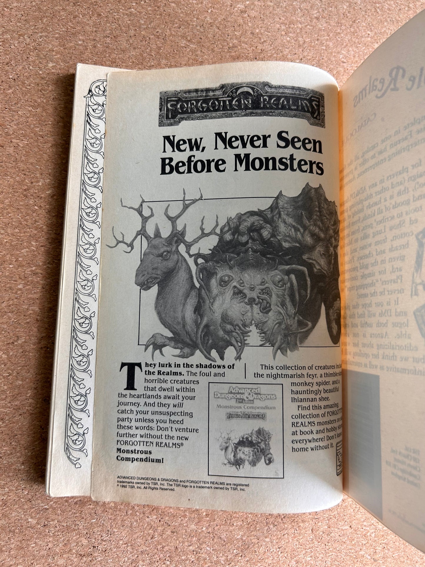 Advanced Dungeons & Dragons Forgotten Realms - Aurora’s Whole Realms Accessory TSR9358 - Paperback (1992)