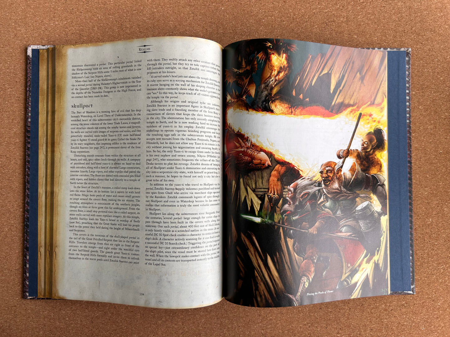 Dungeons & Dragons 3.0/3.5 Forgotten Realms - Serpent Kingdoms - WOTC Hardcover (2004)