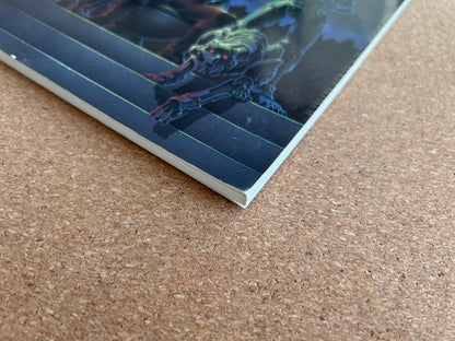 Rifts Sourcebook - Palladium Books Paperback (1995)