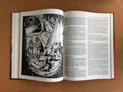 Advanced Dungeons & Dragons - Dungeoneer’s Survival Guide TSR2019 Hardcover (1986)
