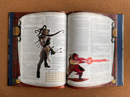 Dungeons & Dragons 3.0/3.5 - Dungeon Master’s Guide v3.5 - WOTC Hardcover (2003)