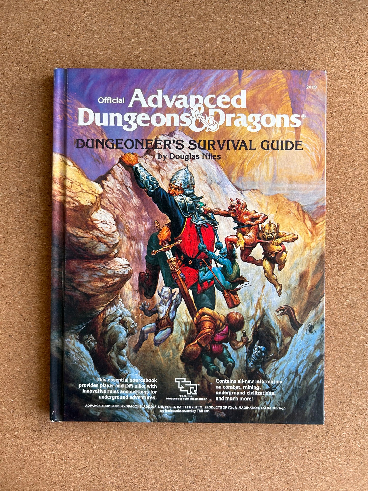 Advanced Dungeons & Dragons - Dungeoneer’s Survival Guide TSR2019 Hardcover (1986)