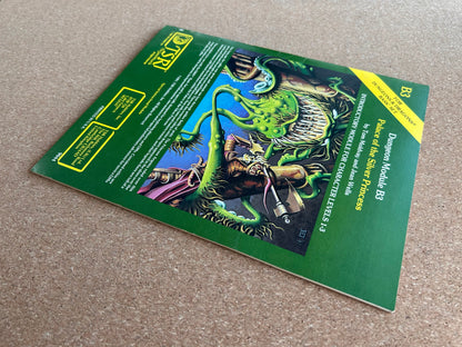 Dungeons & Dragons Module B3 - Palace of the Silver Princess - TSR9044 - Paperback (1981)