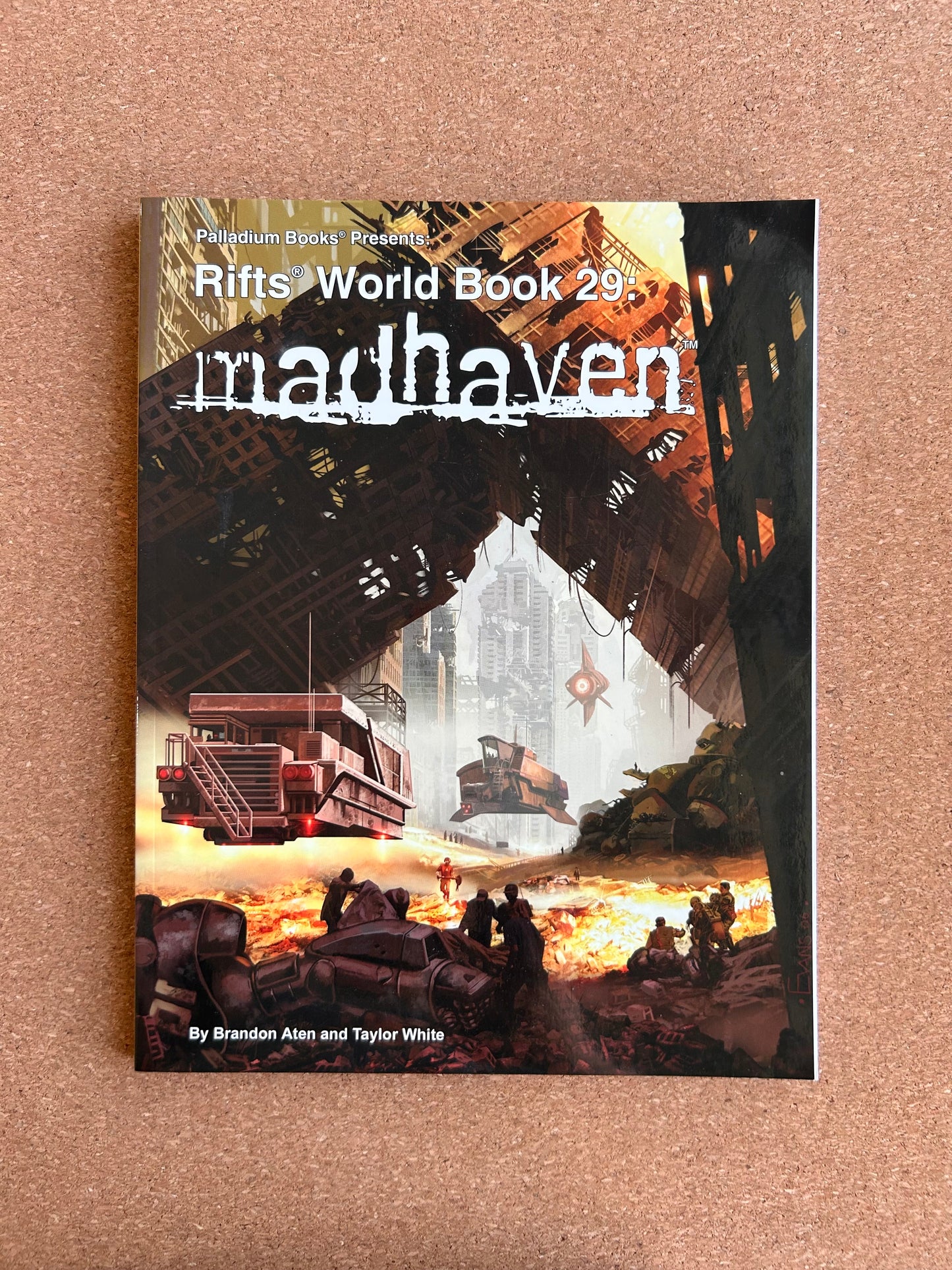 Rifts World Book 29: Madhaven - Palladium Books Paperback 1st Print (2006)