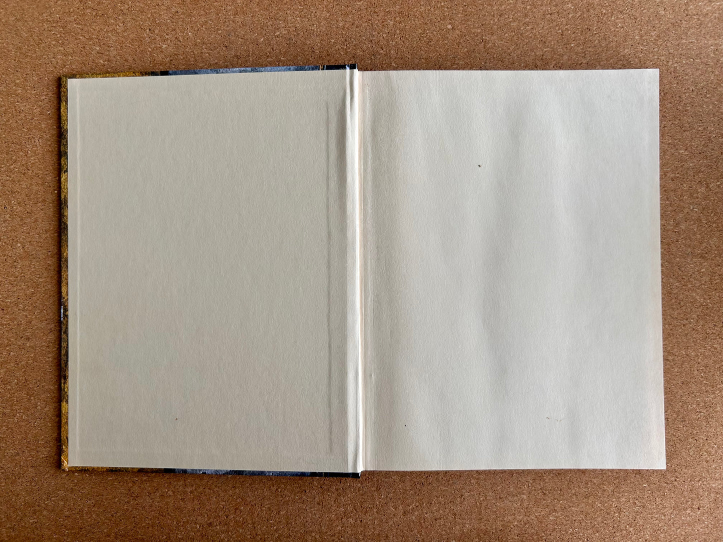 Dungeons & Dragons 3.0/3.5 - Player’s Handbook v3.5 - WOTC Hardcover (2003)