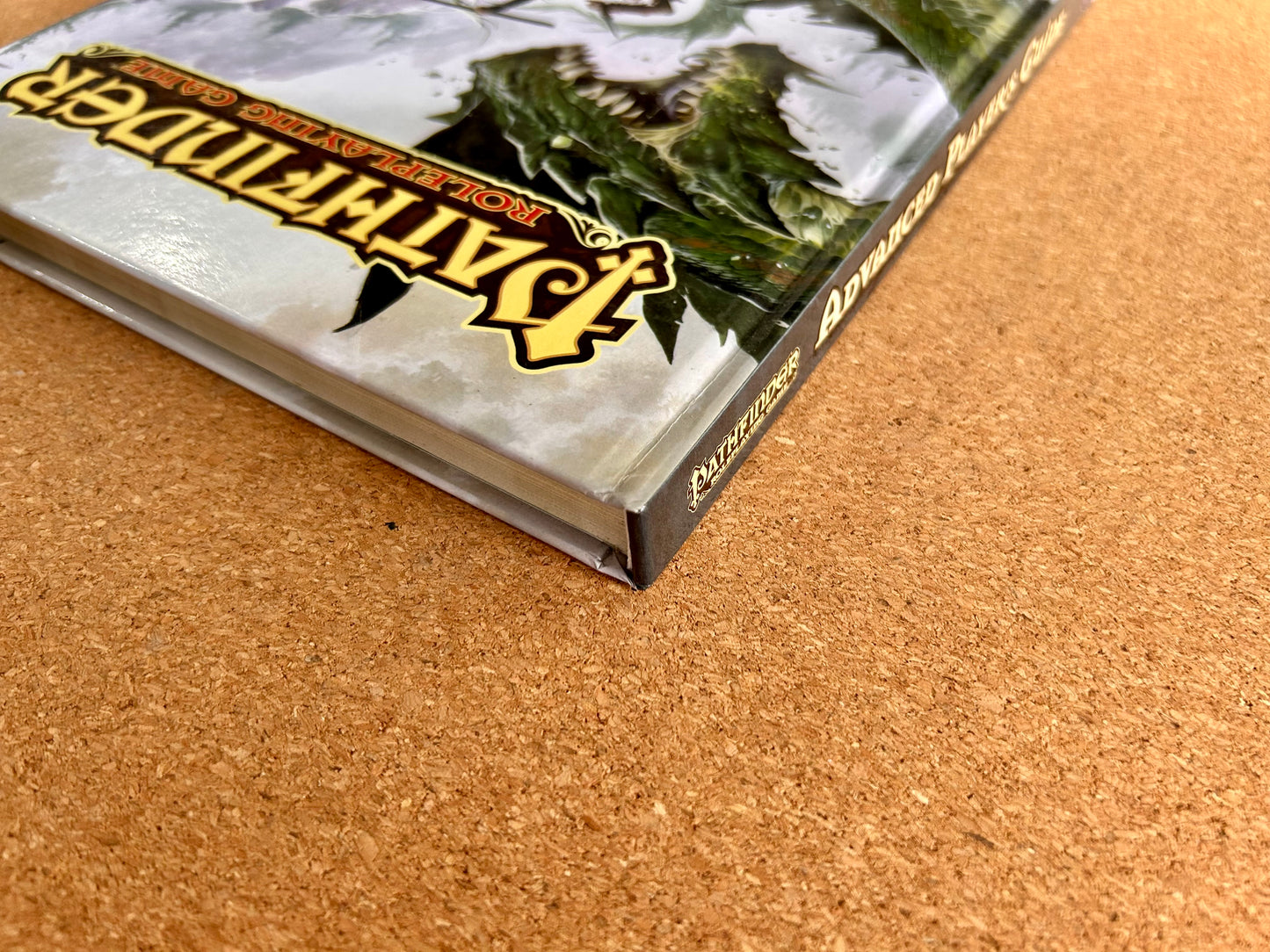 Pathfinder First Edition - Advanced Player’s Guide - Paizo Hardcover (2010)