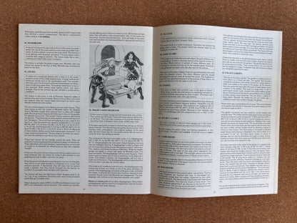 Dungeons & Dragons Module B3 - Palace of the Silver Princess - TSR9044 - Paperback (1981)