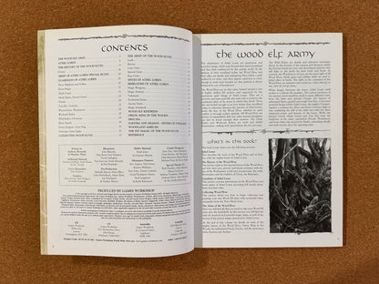 Warhammer Fantasy Armies Codex - Wood Elves - Games Workshop Paperback (2005)