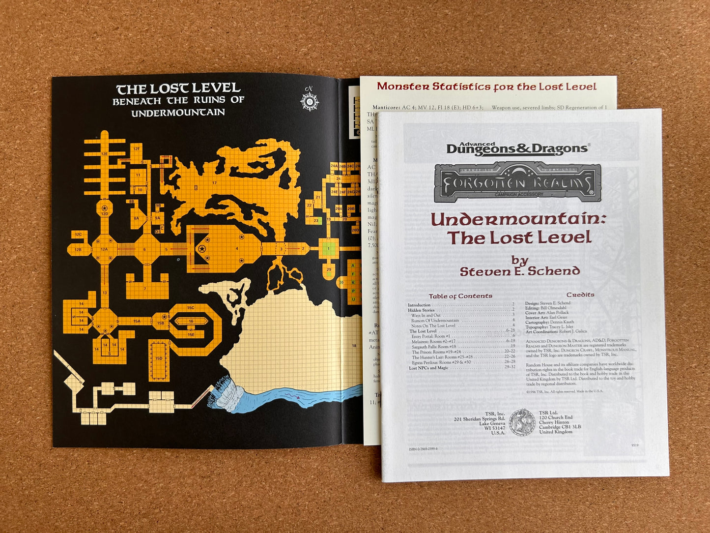 Advanced Dungeons & Dragons Forgotten Realms Adventure - Dungeon Crawl Undermountain the Lost Level - TSR9519 - Paperback (1996)