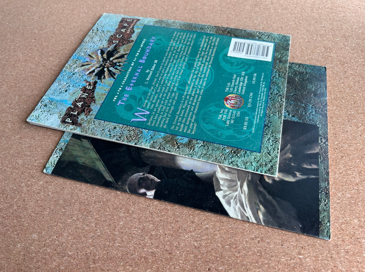 Advanced Dungeons & Dragons Plane Scape - The Eternal Boundary - TSR2601 - Paperback (1994)
