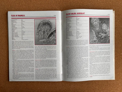Advanced Dungeons & Dragons Ravenloft - Adam’s Wrath - TSR9439 - Paperback (1994) - With Map