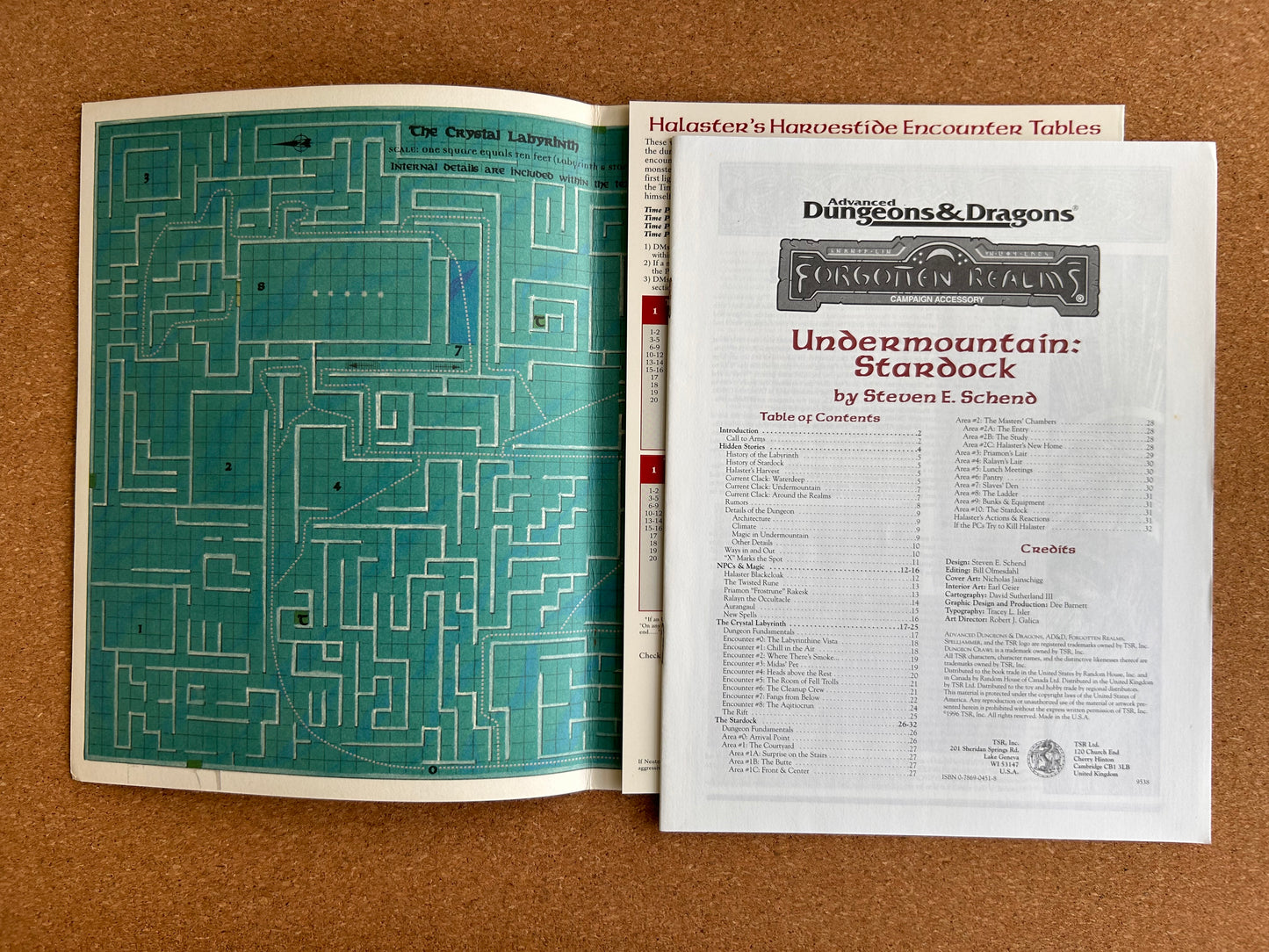 Advanced Dungeons & Dragons Forgotten Realms Adventure - Dungeon Crawl Undermountain Stardock - TSR9538 - Paperback (1996)