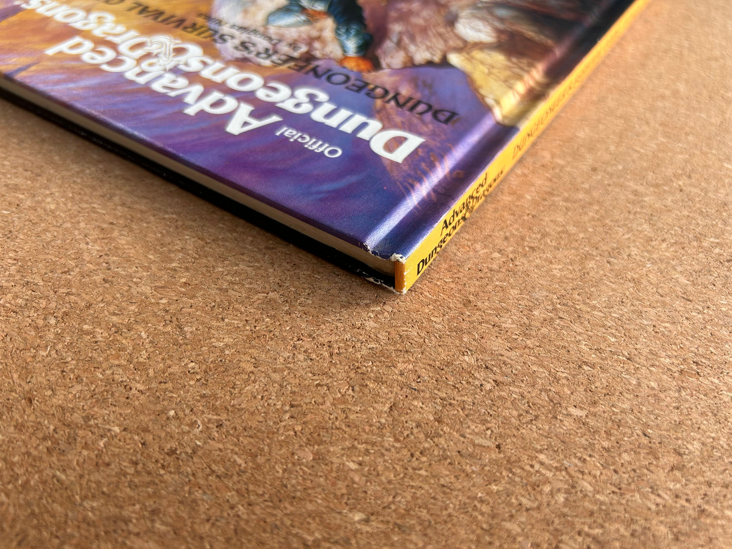 Advanced Dungeons & Dragons - Dungeoneer’s Survival Guide TSR2019 Hardcover (1986)