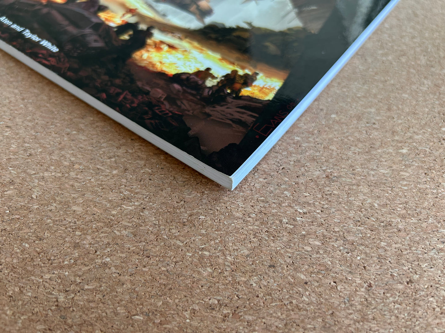 Rifts World Book 29: Madhaven - Palladium Books Paperback 1st Print (2006)
