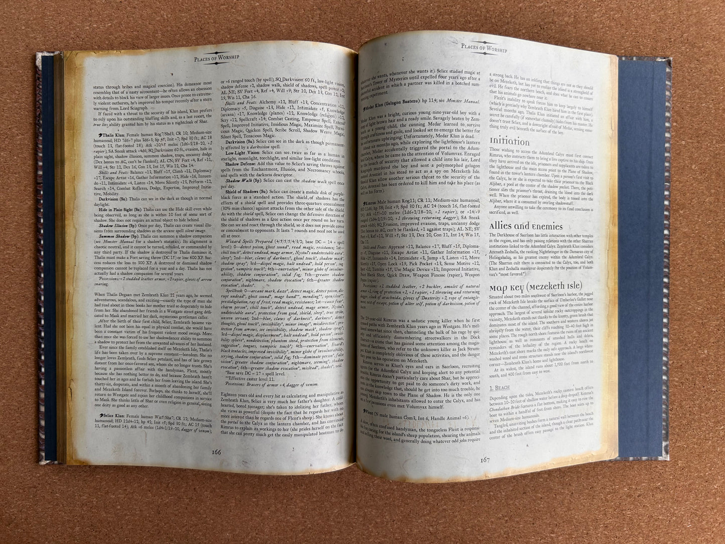 Dungeons & Dragons 3.0/3.5 Forgotten Realms - Faiths & Pantheons - WOTC Hardcover (2002)