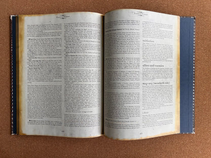 Dungeons & Dragons 3.0/3.5 Forgotten Realms - Faiths & Pantheons - WOTC Hardcover (2002)