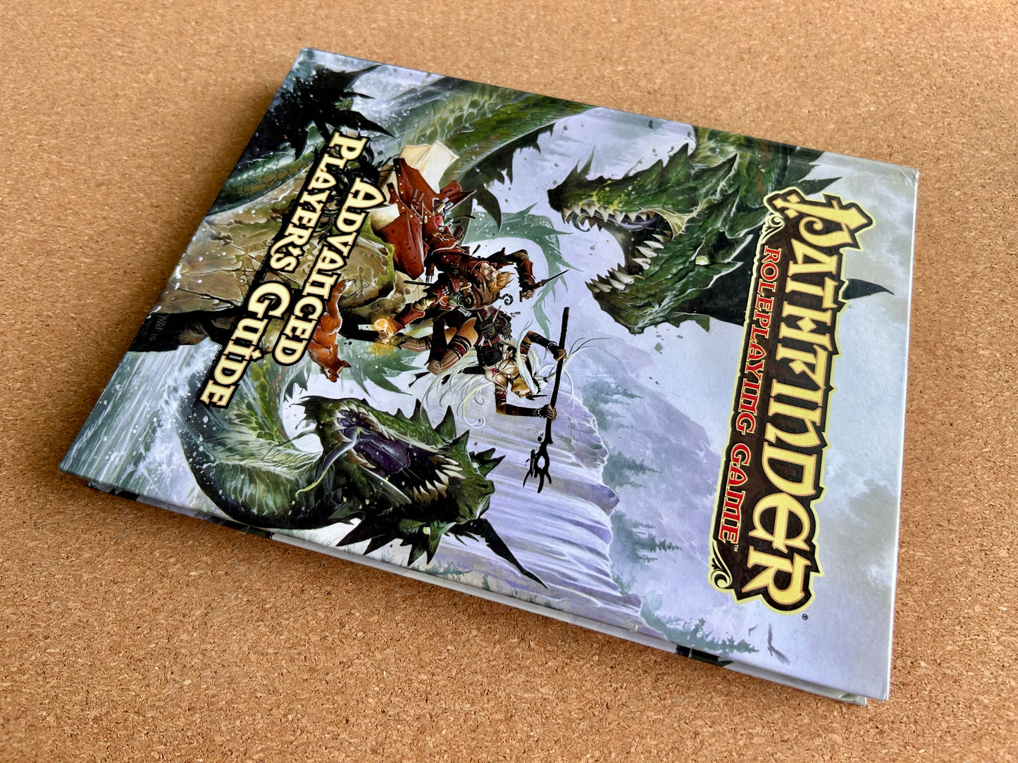 Pathfinder First Edition - Advanced Player’s Guide - Paizo Hardcover (2010)