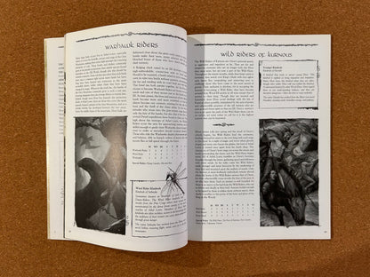 Warhammer Fantasy Armies Codex - Wood Elves - Games Workshop Paperback (2005)