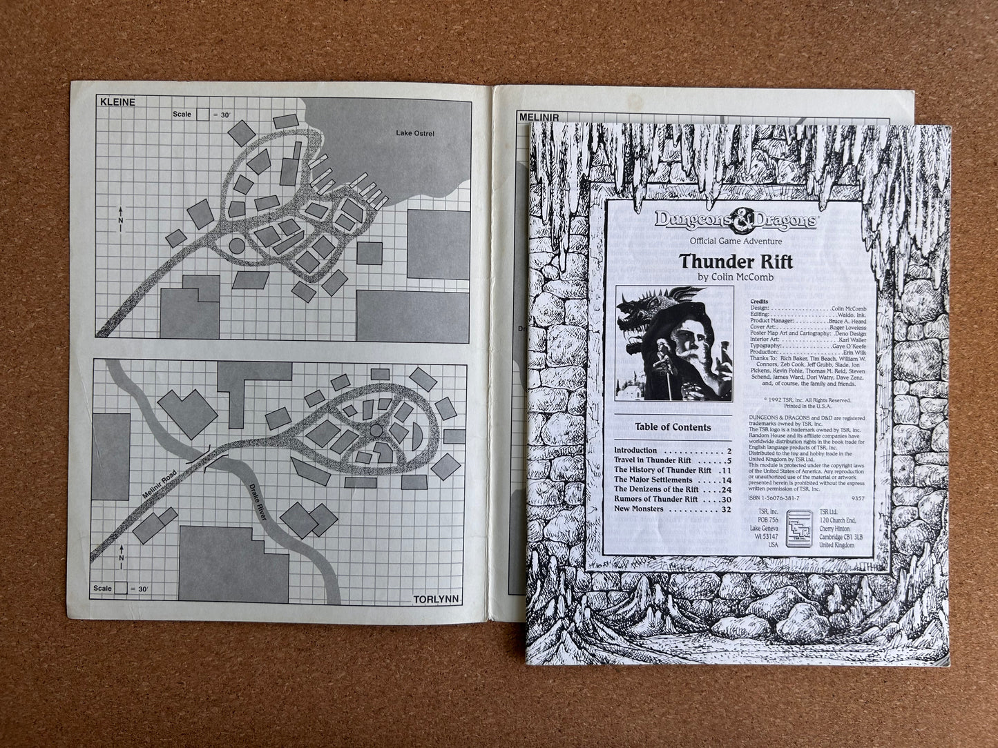 Dungeons & Dragons Game Accessory - Thunder Rift TSR9357 - Paperback (1992)