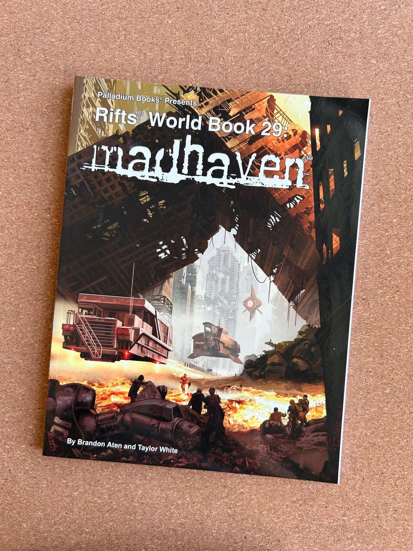 Rifts World Book 29: Madhaven - Palladium Books Paperback 1st Print (2006)