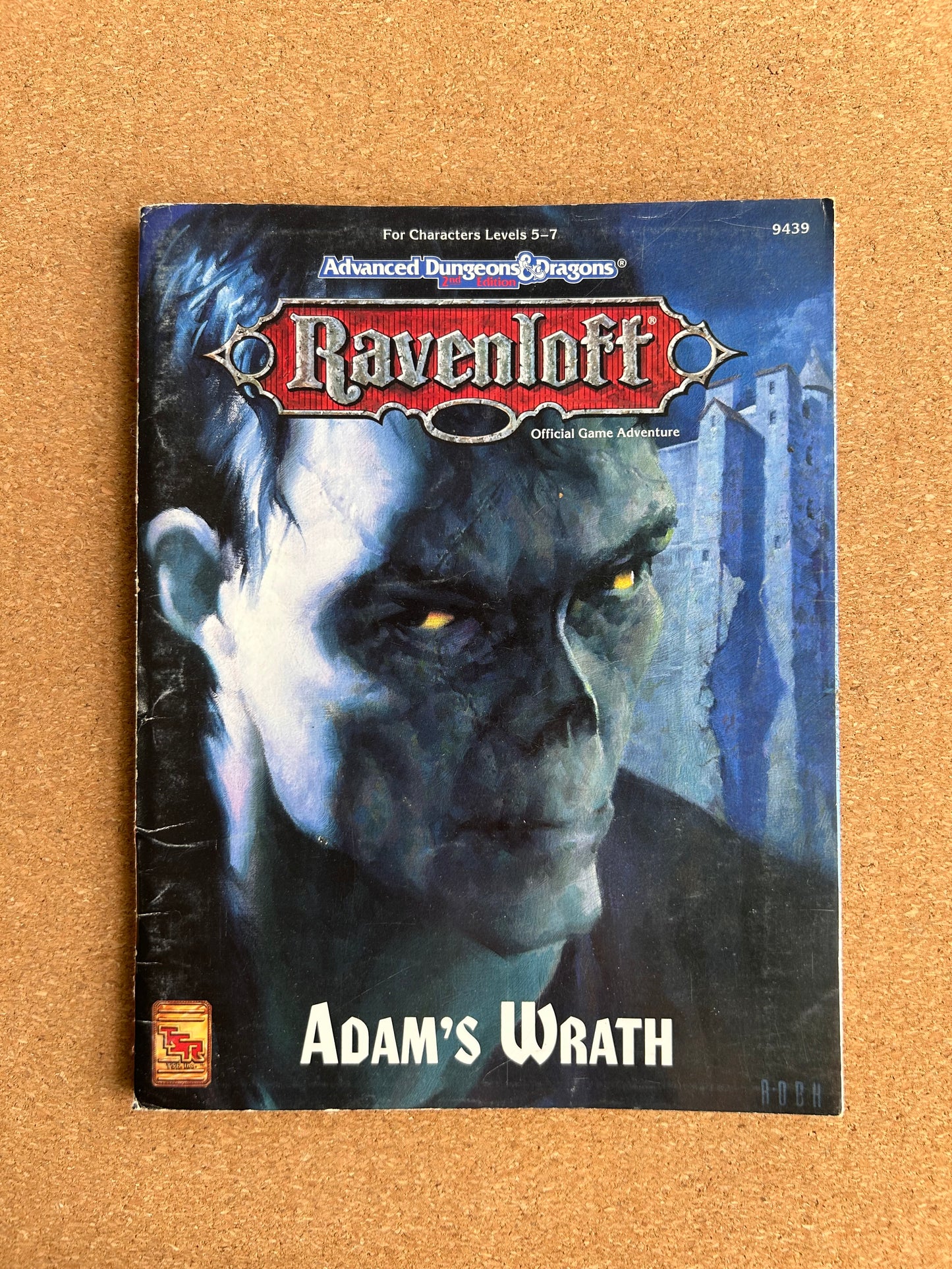 Advanced Dungeons & Dragons Ravenloft - Adam’s Wrath - TSR9439 - Paperback (1994) - With Map