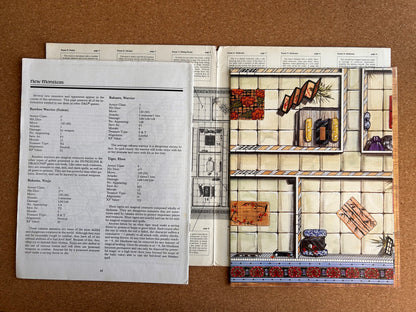 Dungeons & Dragons Game Accessory - Rage of Rakasta TSR9435 - Paperback (1993)