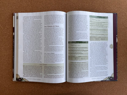 Dungeons & Dragons 4th Edition - Dungeon Master’s Guide 2 - WOTC Hardcover (2009)