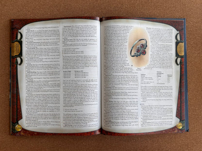 Dungeons & Dragons 3.0/3.5 - Dungeon Master’s Guide Core Rulebook II - WOTC Hardcover (2000)