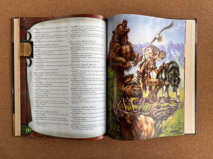 Dungeons & Dragons 3.0/3.5 - Complete Divine - WOTC Hardcover (2004)