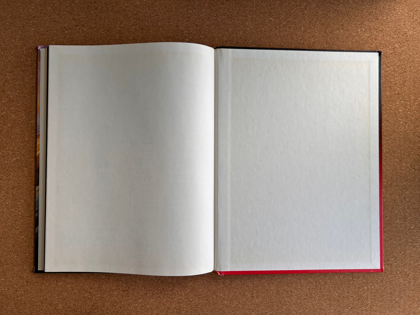 Advanced Dungeons & Dragons - Dungeoneer’s Survival Guide TSR2019 Hardcover (1986)