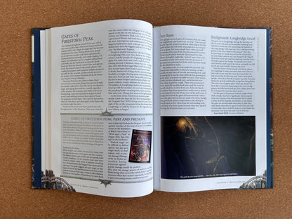 Dungeons & Dragons 4th Edition - Into The Unknown Dungeon Survival Handbook - WOTC Hardcover (2012)