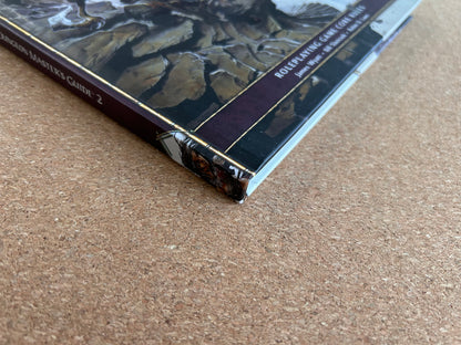 Dungeons & Dragons 4th Edition - Dungeon Master’s Guide 2 - WOTC Hardcover (2009)