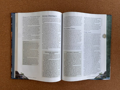 Dungeons & Dragons 4th Edition - Neverwinter Campaign Setting - WOTC Hardcover (2011)