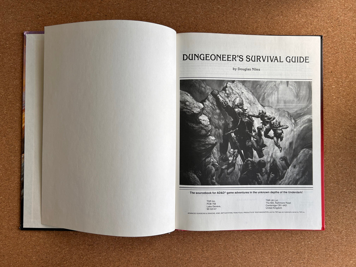 Advanced Dungeons & Dragons - Dungeoneer’s Survival Guide TSR2019 Hardcover (1986)