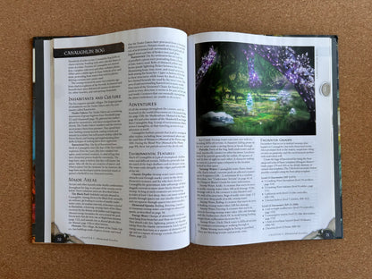 Dungeons & Dragons 4th Edition - The Plane Below - WOTC Hardcover (2009)