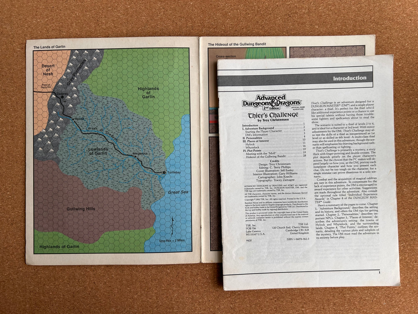 Advanced Dungeons & Dragons - Thief’s Challenge - TSR9420 HHQ2 - Paperback (1993)