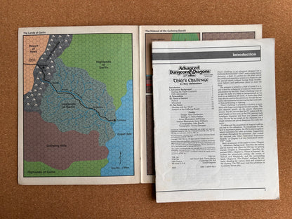 Advanced Dungeons & Dragons - Thief’s Challenge - TSR9420 HHQ2 - Paperback (1993)
