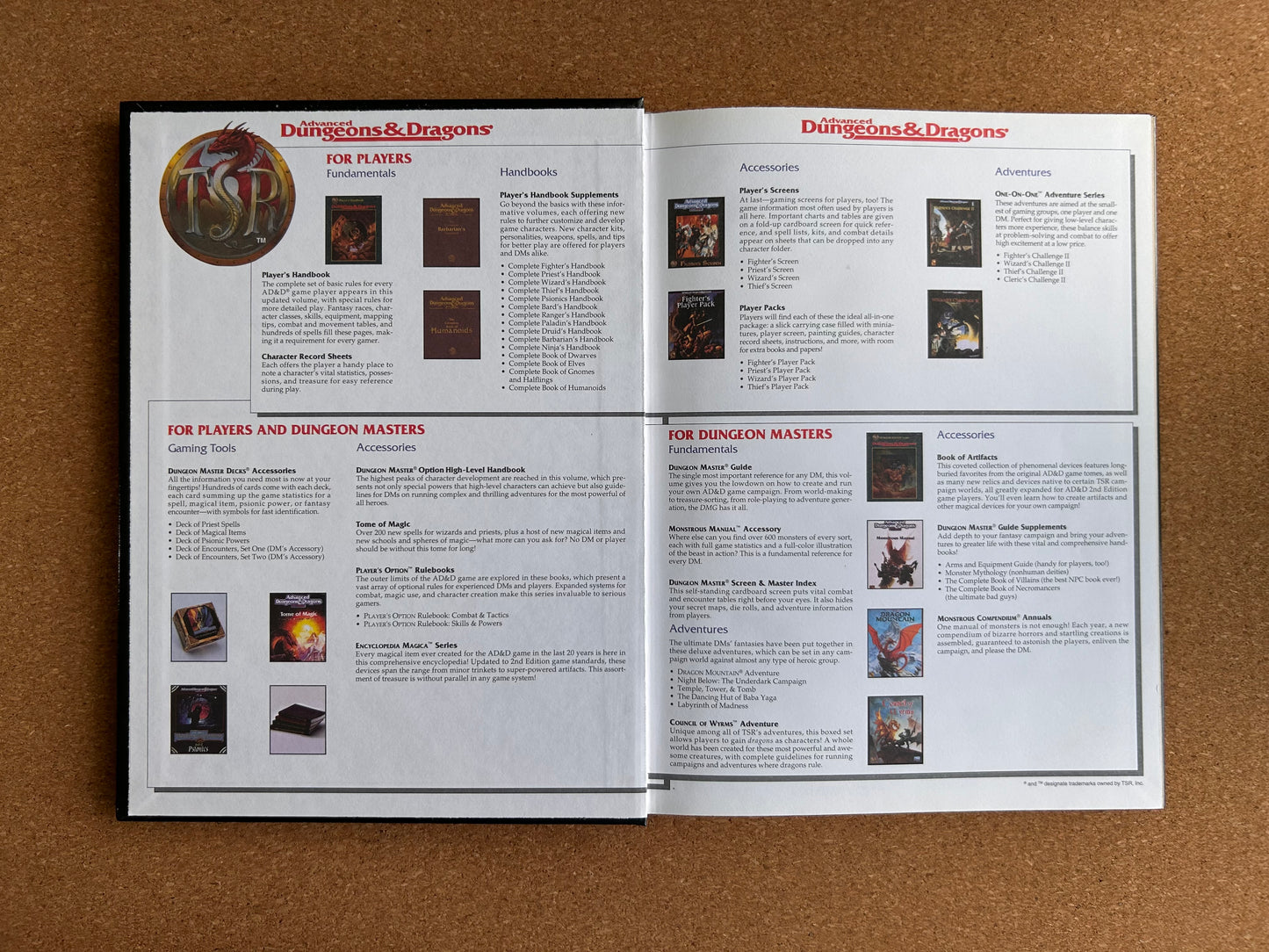 Advanced Dungeons & Dragons - Dungeon Master Option: High-Level Campaigns - TSR2156 Hardcover (1995)