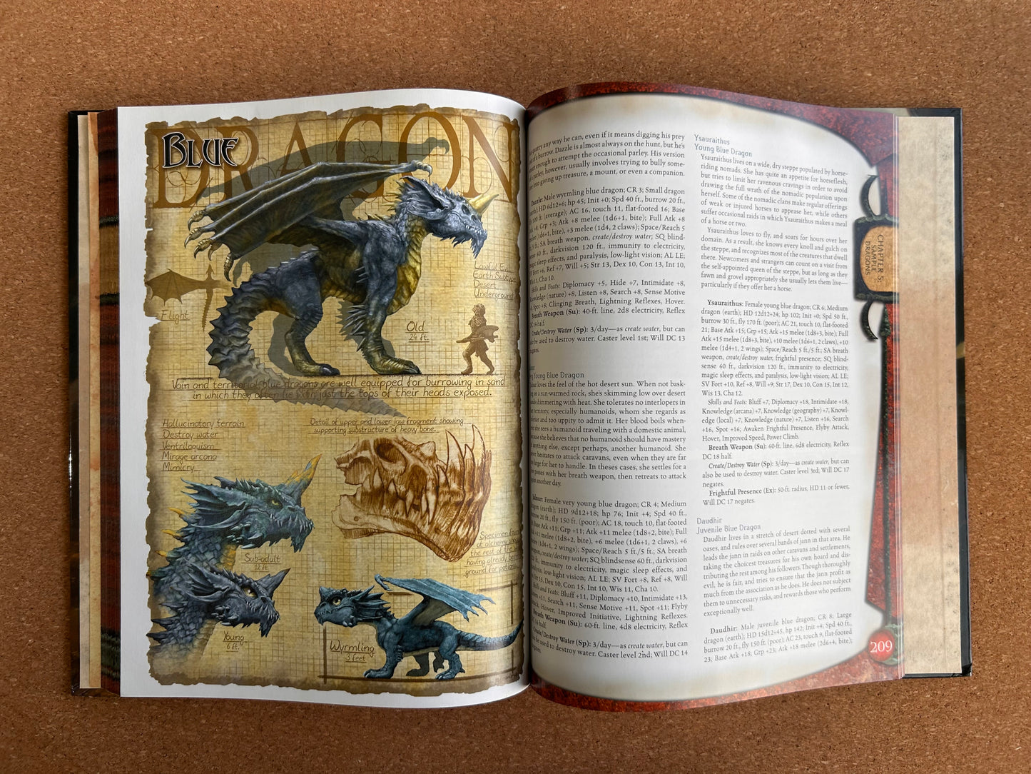 Dungeons & Dragons 3.0/3.5 - Draconomicon - WOTC Hardcover (2003)