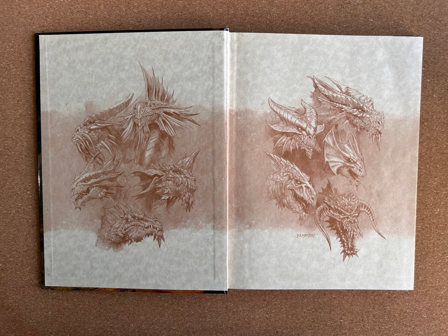 Dungeons & Dragons 3.0/3.5 - Draconomicon - WOTC Hardcover (2003)