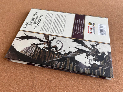 Dungeons & Dragons 4th Edition - Dungeon Master’s Guide 2 - WOTC Hardcover (2009)