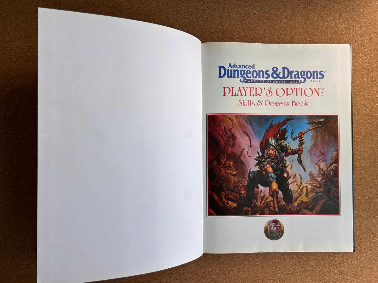Advanced Dungeons & Dragons - Player’s Option: Skills & Powers - TSR2154 Hardcover (1995)